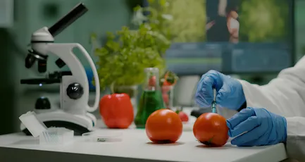 Food Technologist