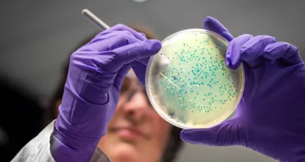 Microbiologist