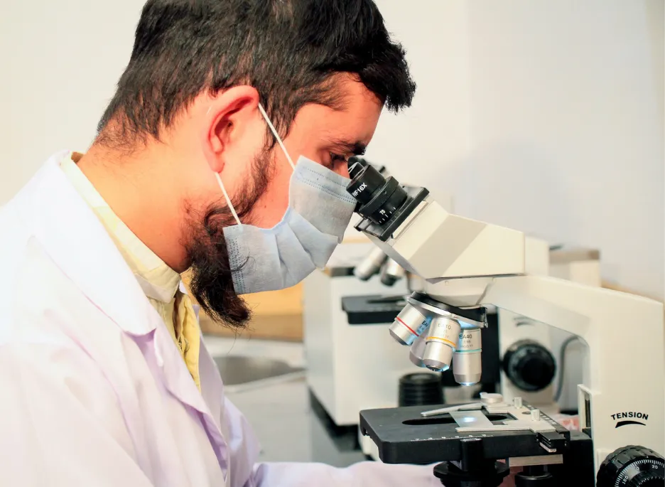 Medical Lab Technology (BS-MLT)